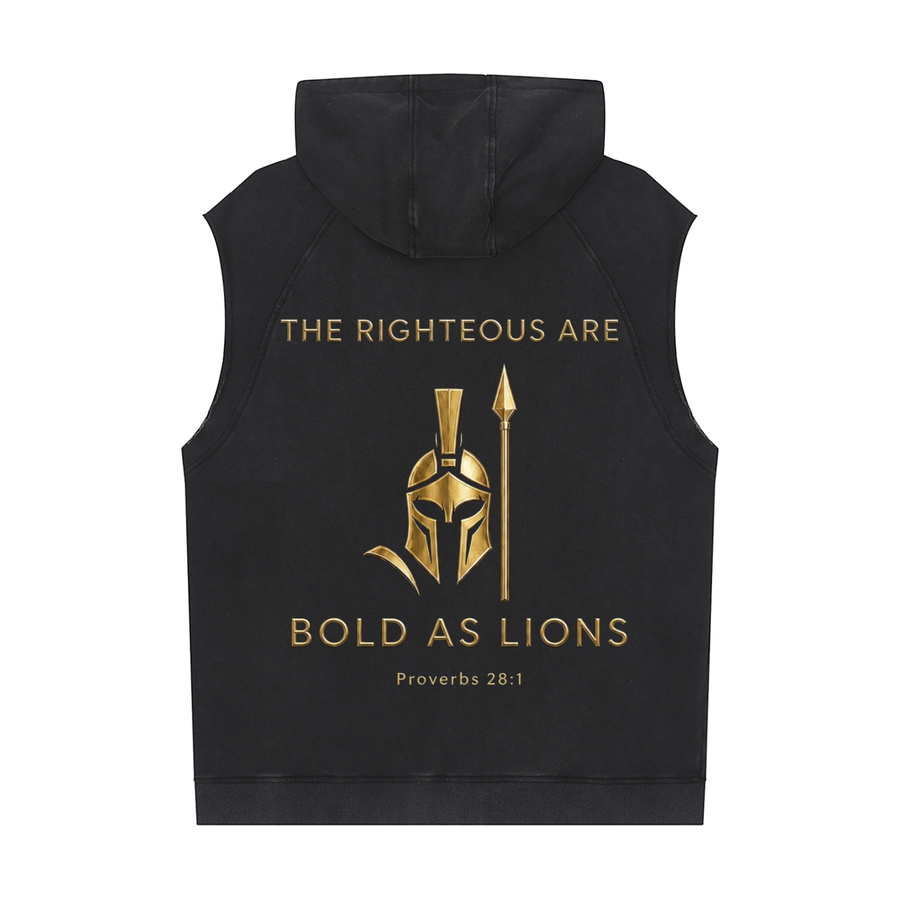 Bold as Lions Sleeveless Hoodie